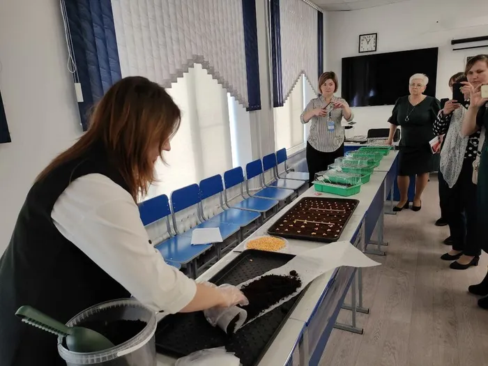 Чемпионат по возделыванию кукурузы «Сеем будущее».