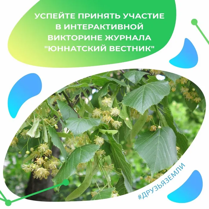 "Юннатский вестник"