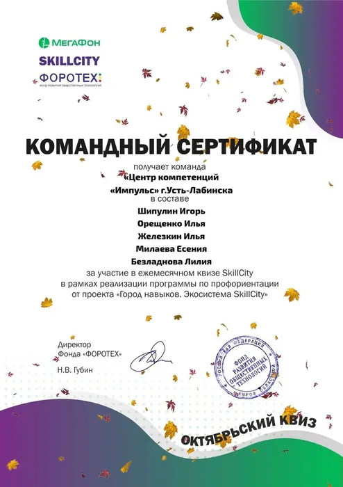 Проект по профориентации Город навыков SKILLSITY.